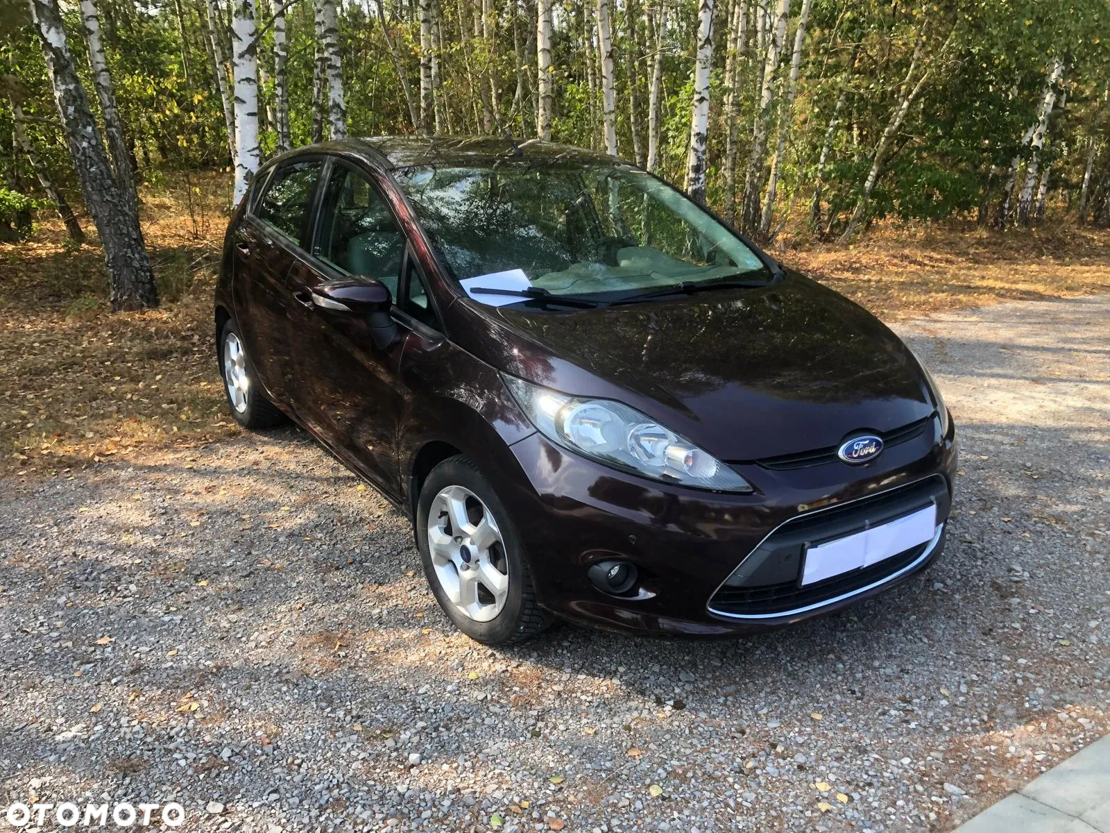 Ford Fiesta 1.25 Gold X EU5 - 3