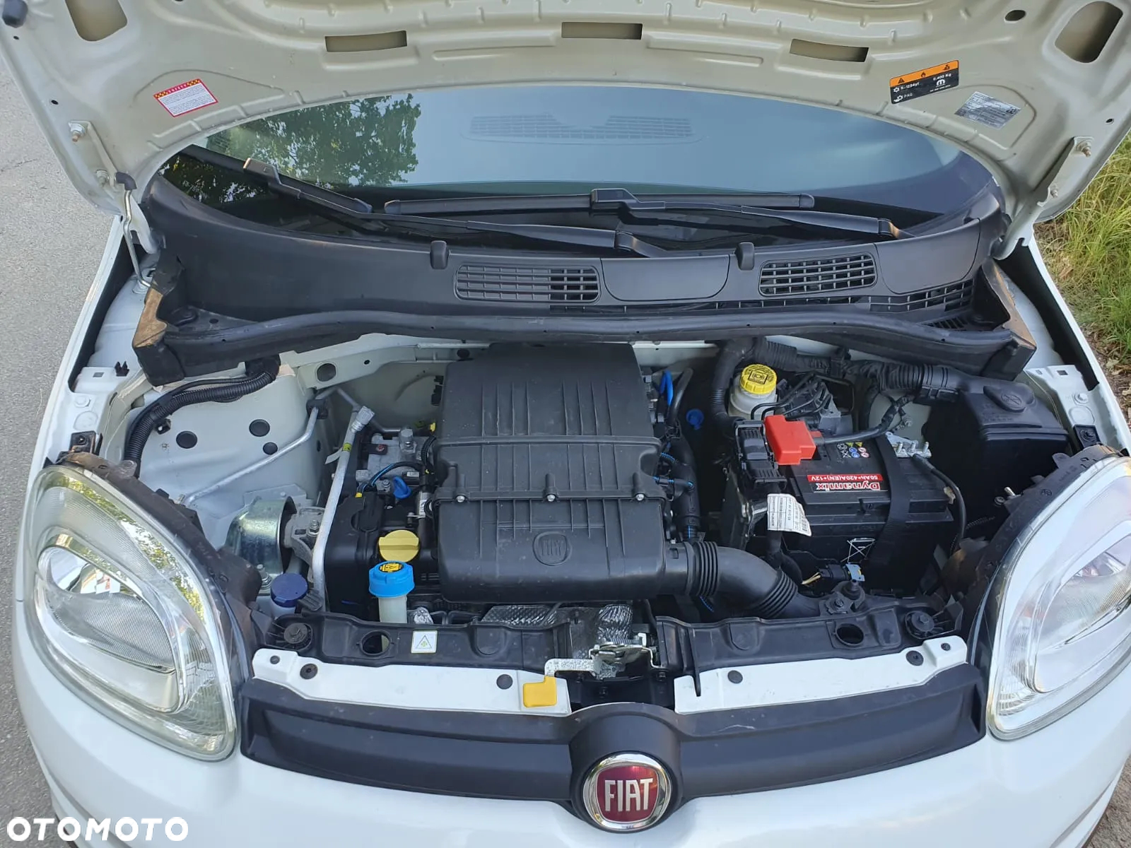 Fiat Panda 1.2 - 13
