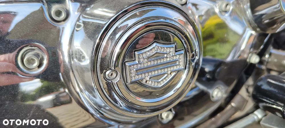 Harley-Davidson Sportster Custom 1200C - 6