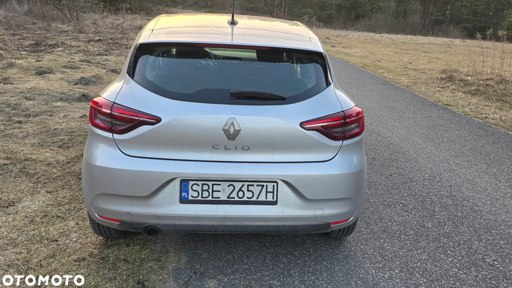 Renault Clio - 6