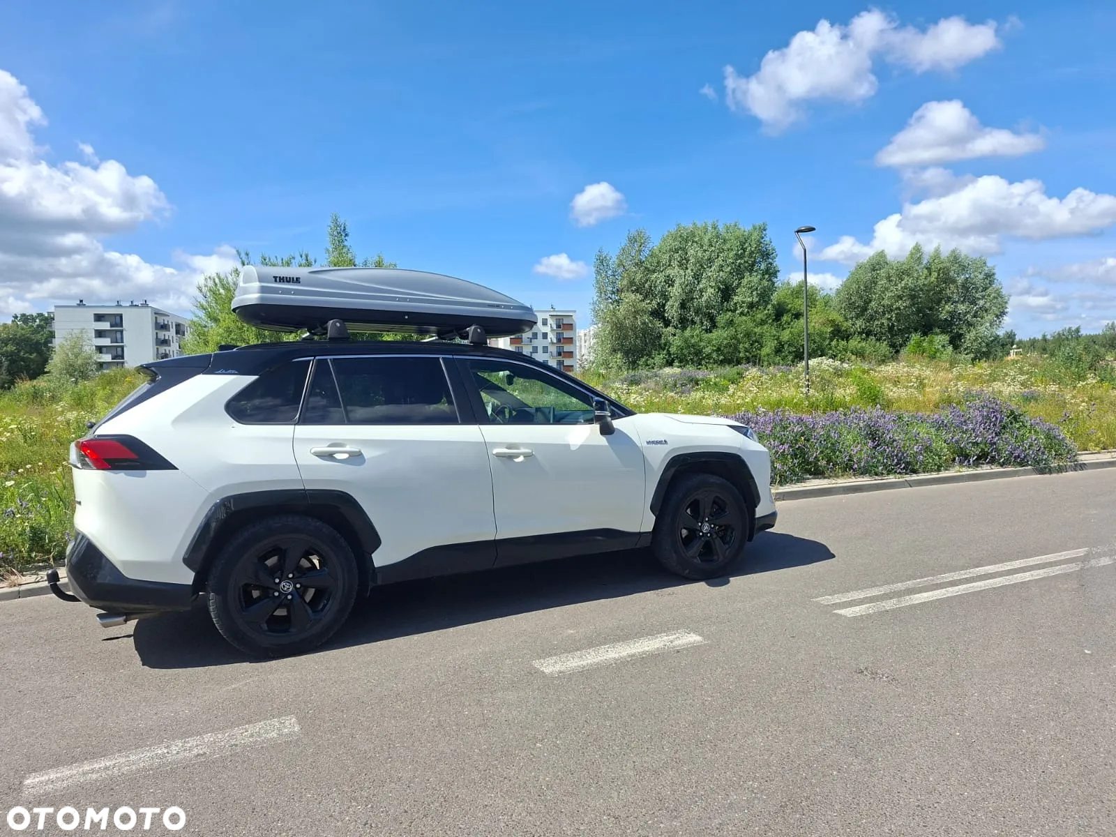 Toyota RAV4 2.5 Hybrid Selection 4x2 - 15