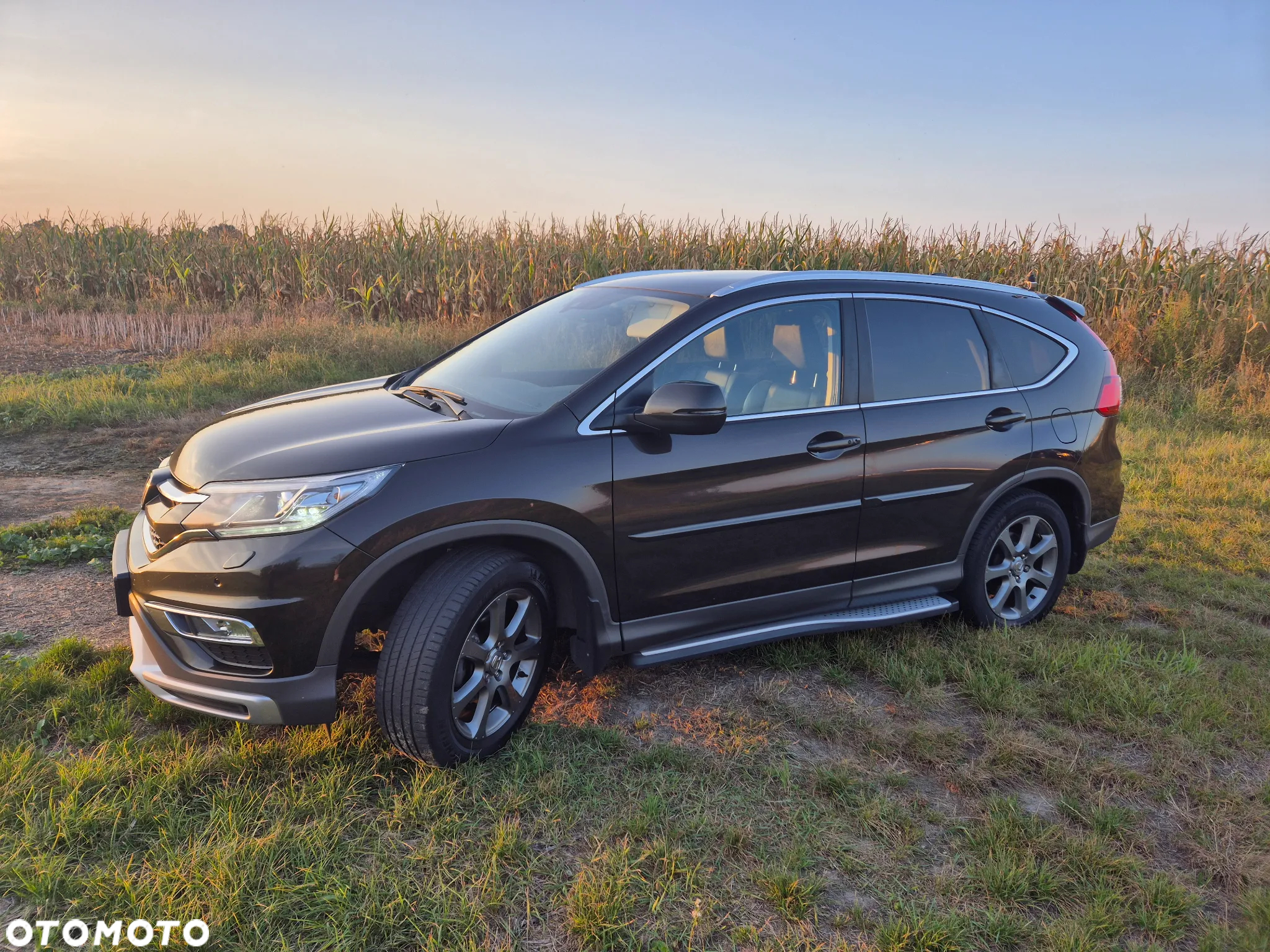 Honda CR-V 2.0 Executive (Sensing Pack / Connect+) - 2