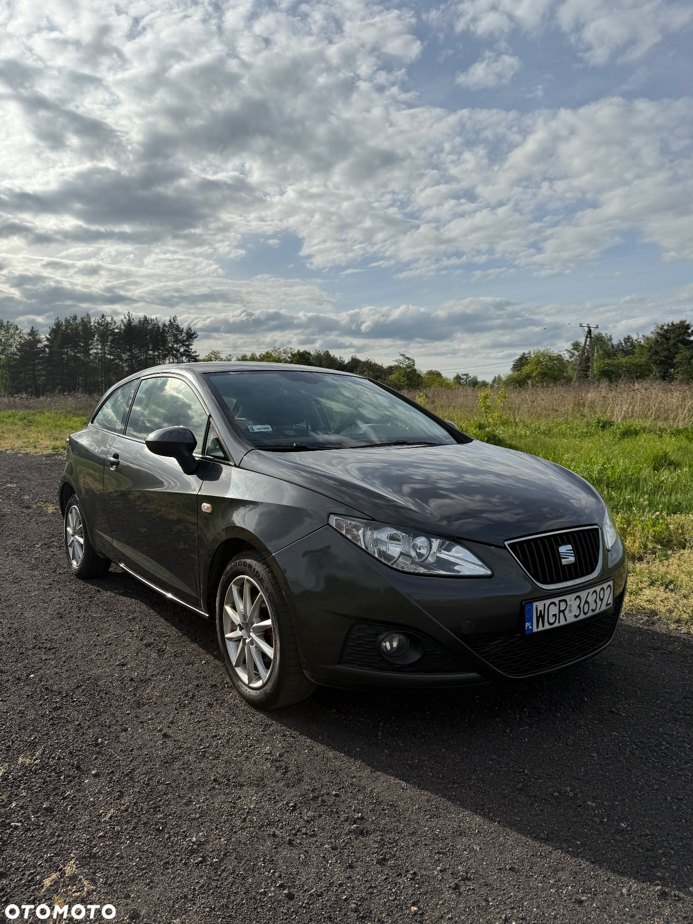 Seat Ibiza - 3