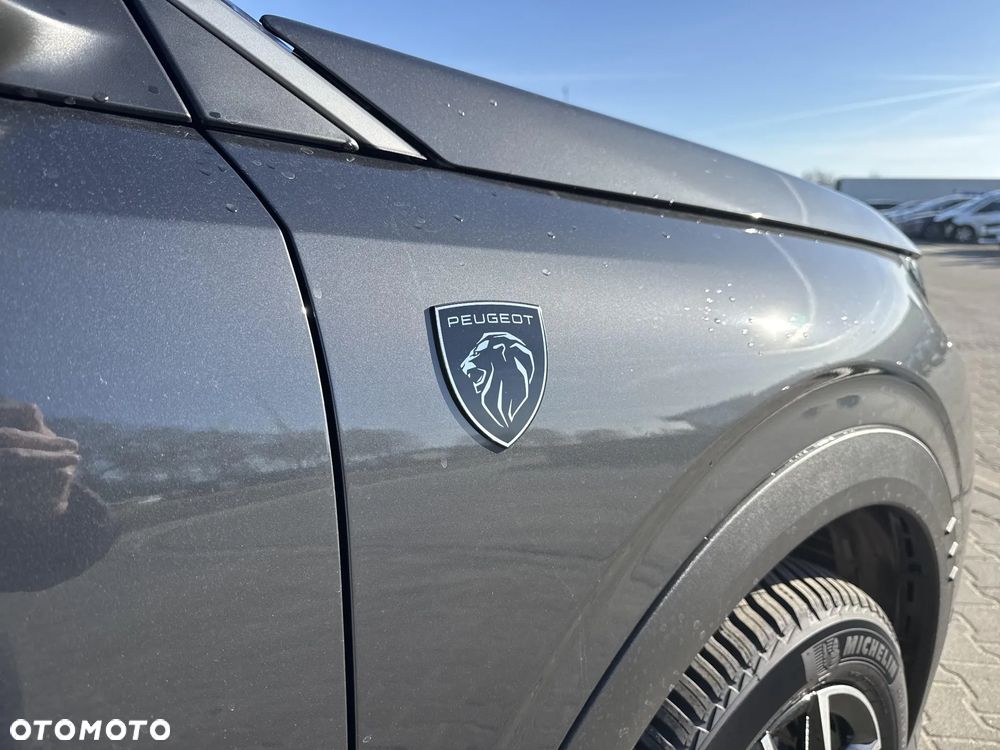 Peugeot 3008 - 19