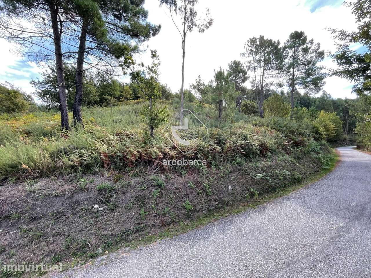Terreno Florestal para venda em Ázere Arcos de Valdevez - Grande imagem: 4/5