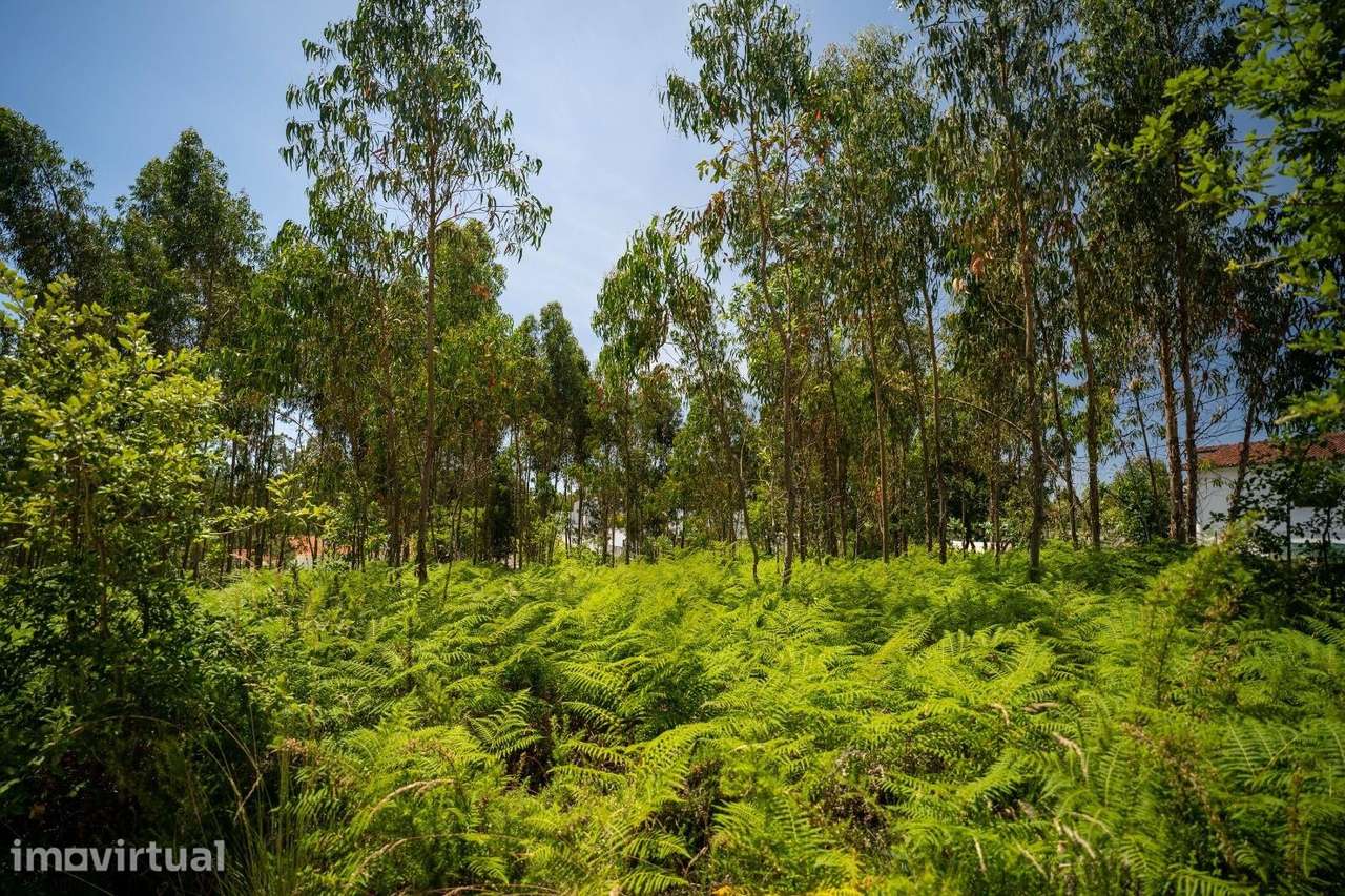 Oportunidade de Investimento em Terreno com 3524 m2 em Leiria - Grande imagem: 4/7