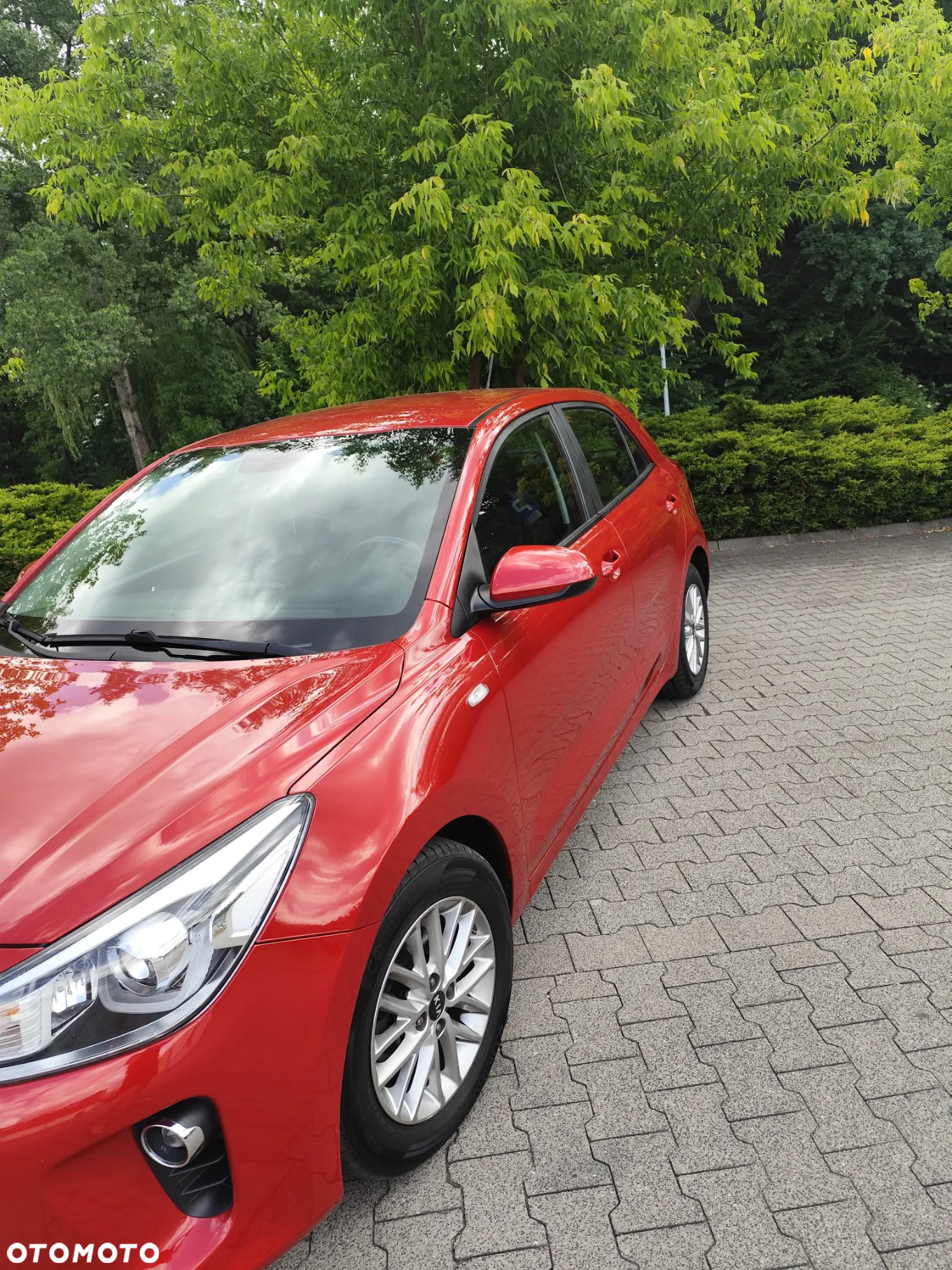 Kia Rio - 2