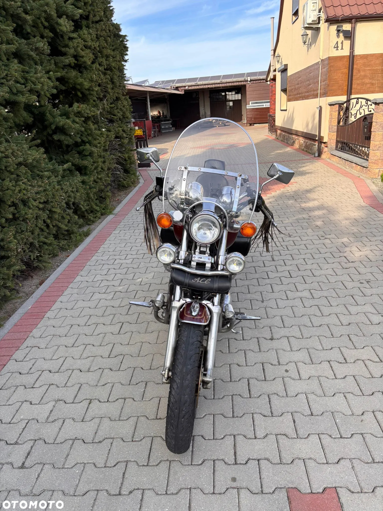 Yamaha Virago - 6