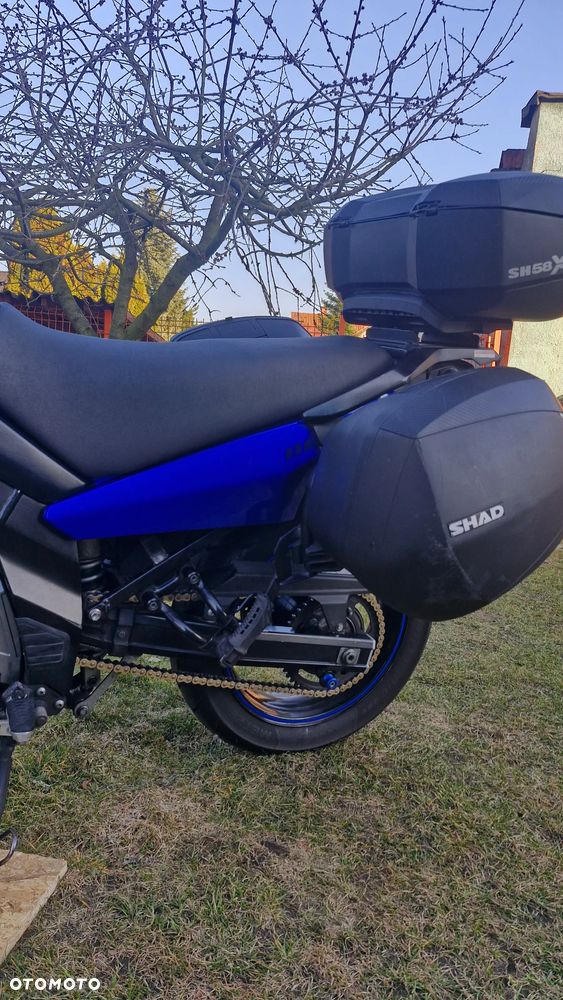 Suzuki DL - 6
