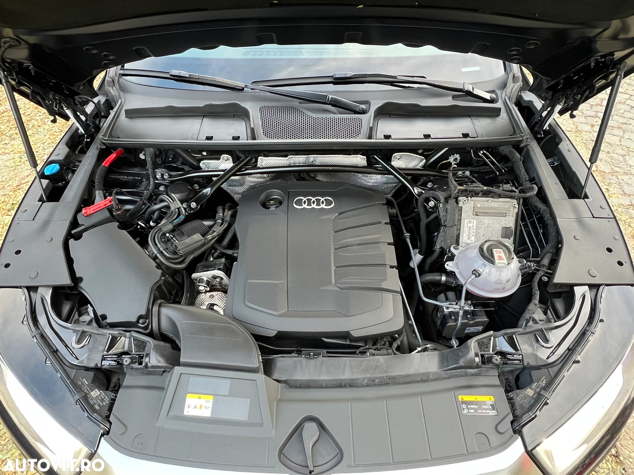 Audi Q5 35 TDI S tronic MHEV Basic - 15