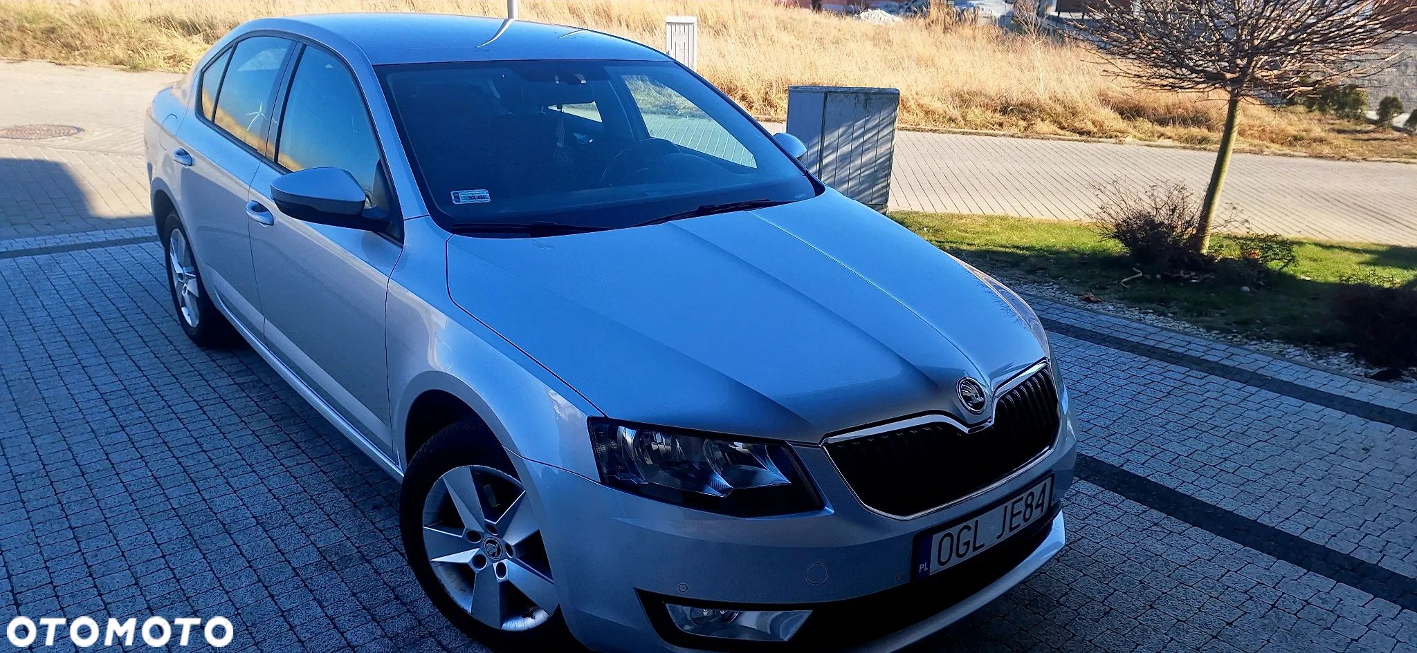 Skoda Octavia - 1
