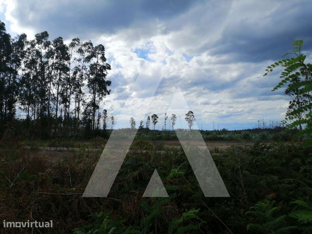Terreno Rústico com viabilidade de construção industrial. - Grande imagem: 3/8