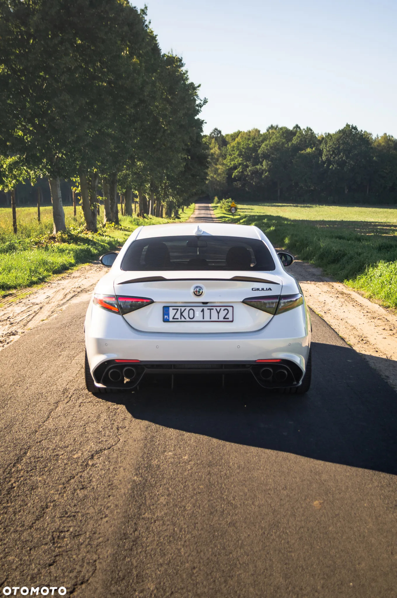 Alfa Romeo Giulia 2.9 Bi Turbo V6 Quadrifoglio - 12