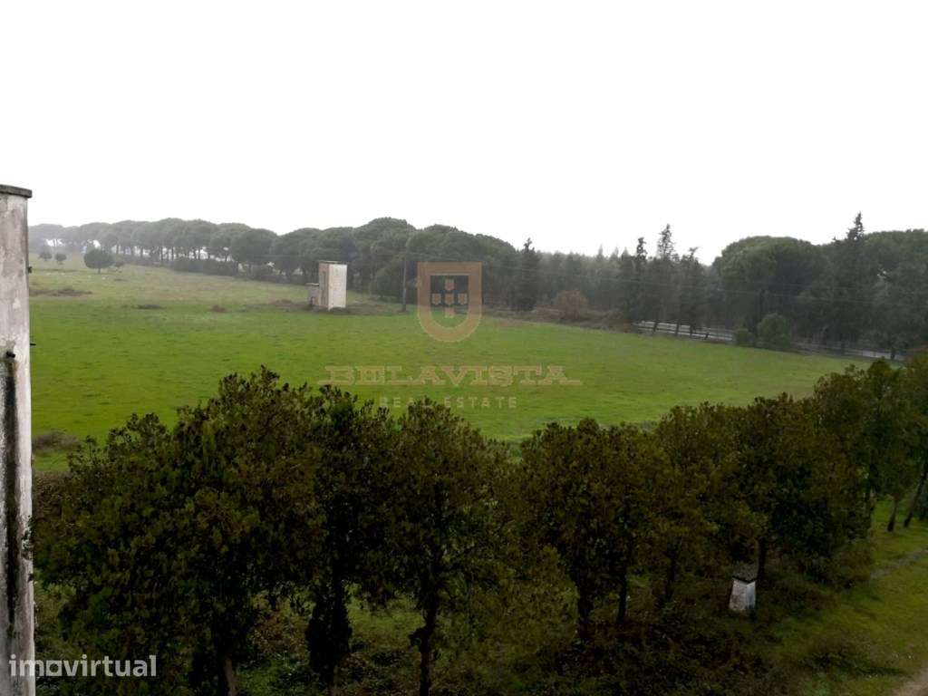 Quinta com 21Ha, a 30 min do Montijo, possibilidade de construir co... - Grande imagem: 3/4