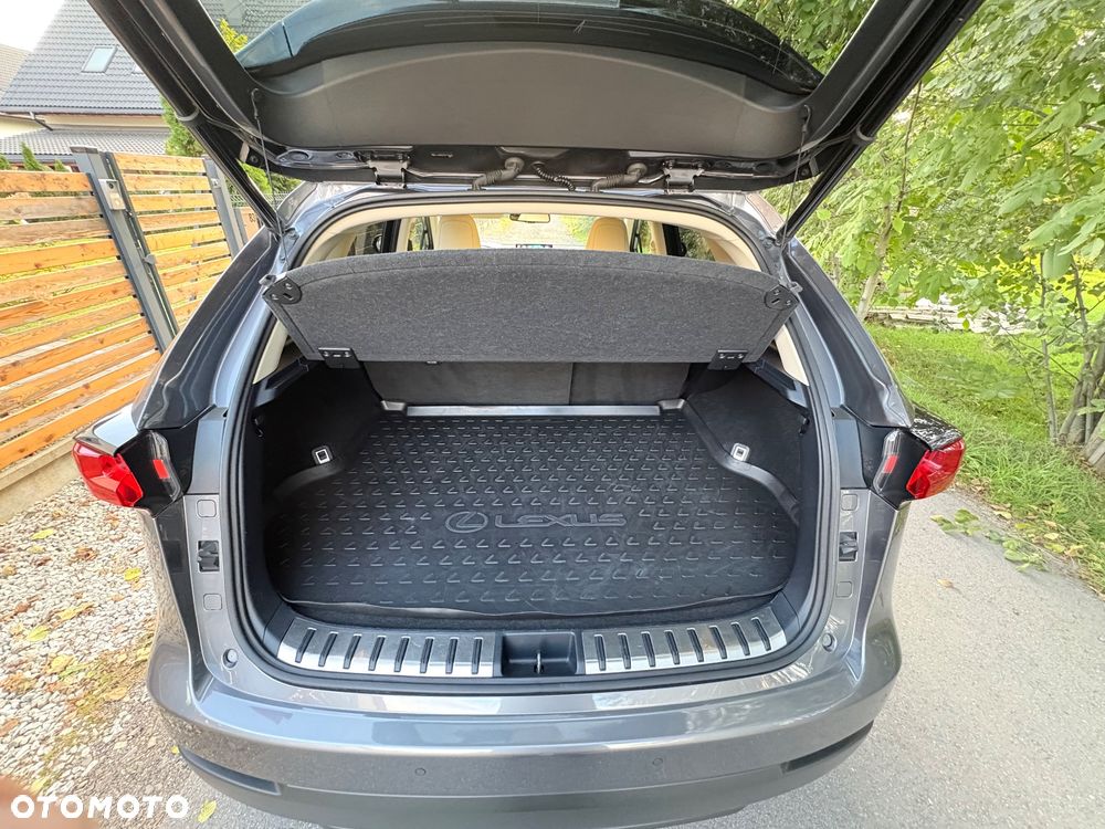 Lexus NX - 21