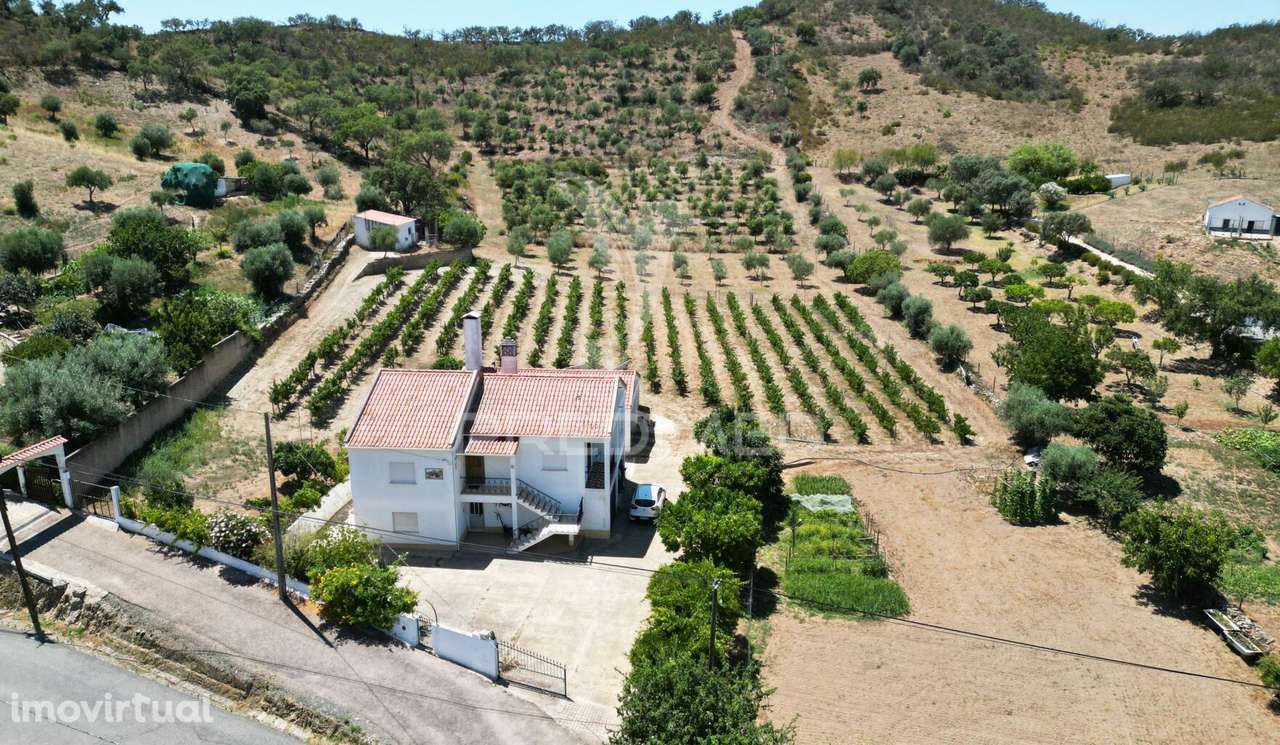 Quinta com 2,3000 hectares em Vale de Santiago - Grande imagem: 2/31