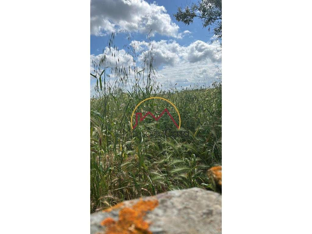 Terreno em Cabeça de Carneiro - Grande imagem: 4/8