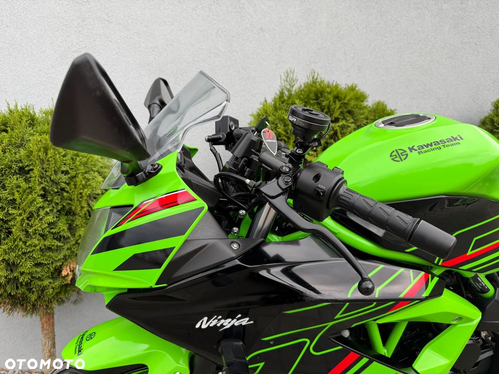 Kawasaki Ninja - 39