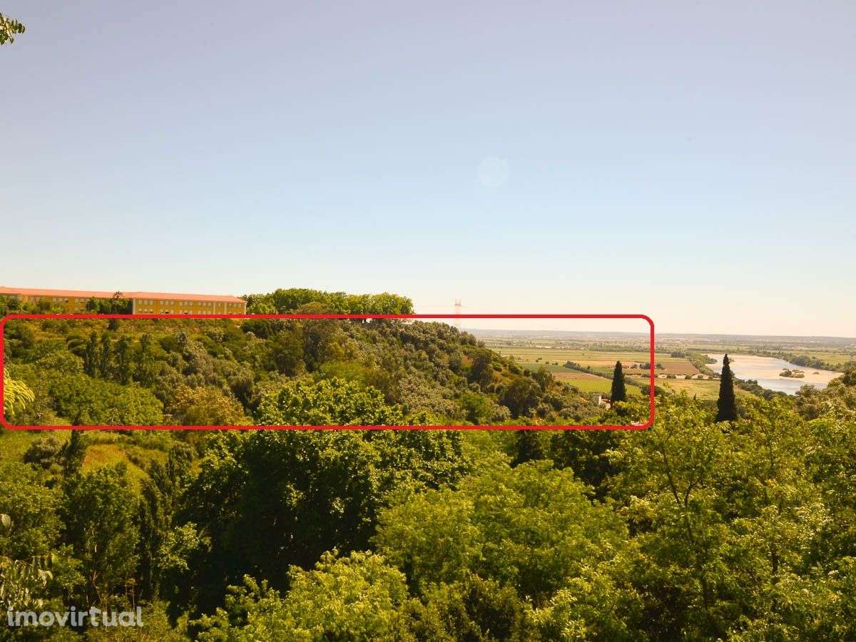 Moradia em Ruínas com Vista para o Rio Tejo - Grande imagem: 2/32