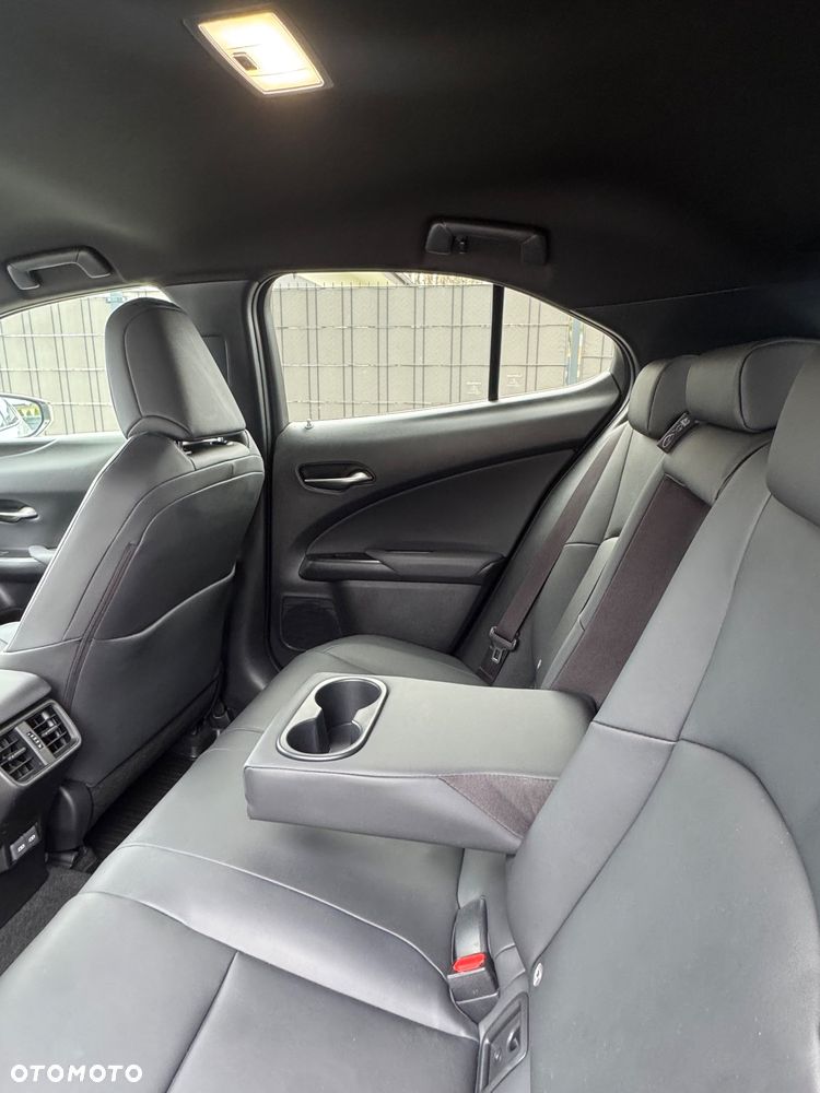 Lexus UX 250h F Sport 2WD - 12