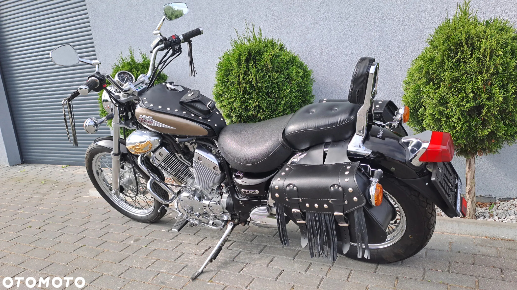 Yamaha Virago - 6