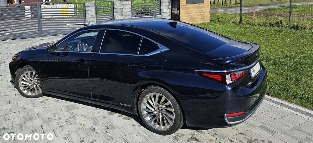 Lexus ES 300h Omotenashi - 3