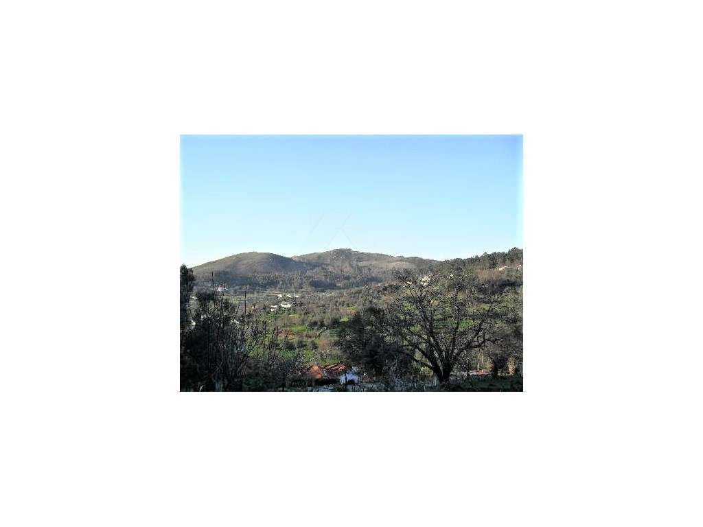 Terreno de Construção em Serdedelo - Grande imagem: 5/6