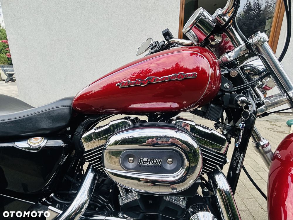 Harley-Davidson Sportster Custom 1200C - 3