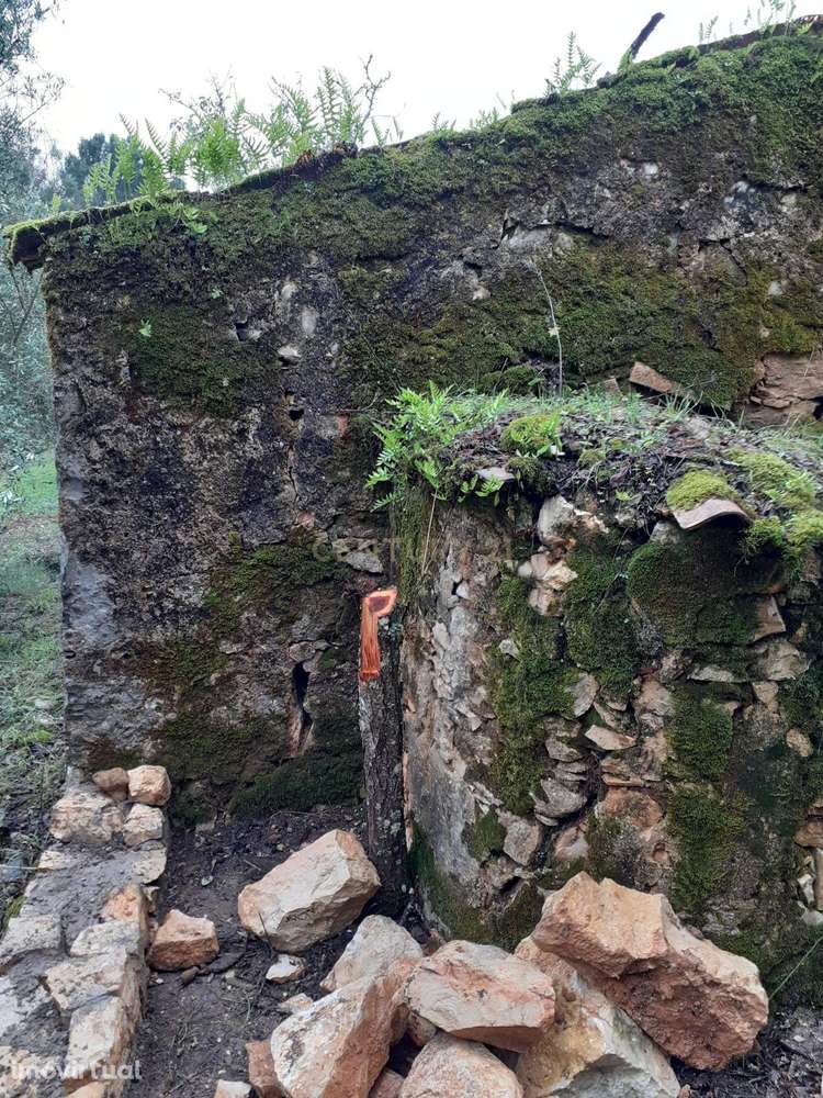 Ruína para Recuperar em Santiago da Guarda - Grande imagem: 5/8