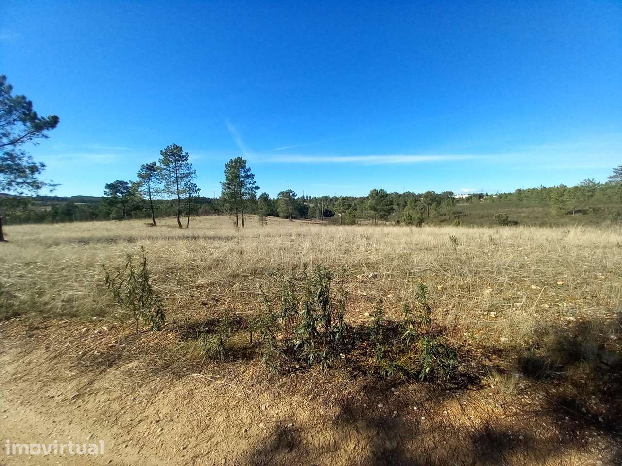 Terreno em Maxiais , Castelo Branco - Grande imagem: 5/12