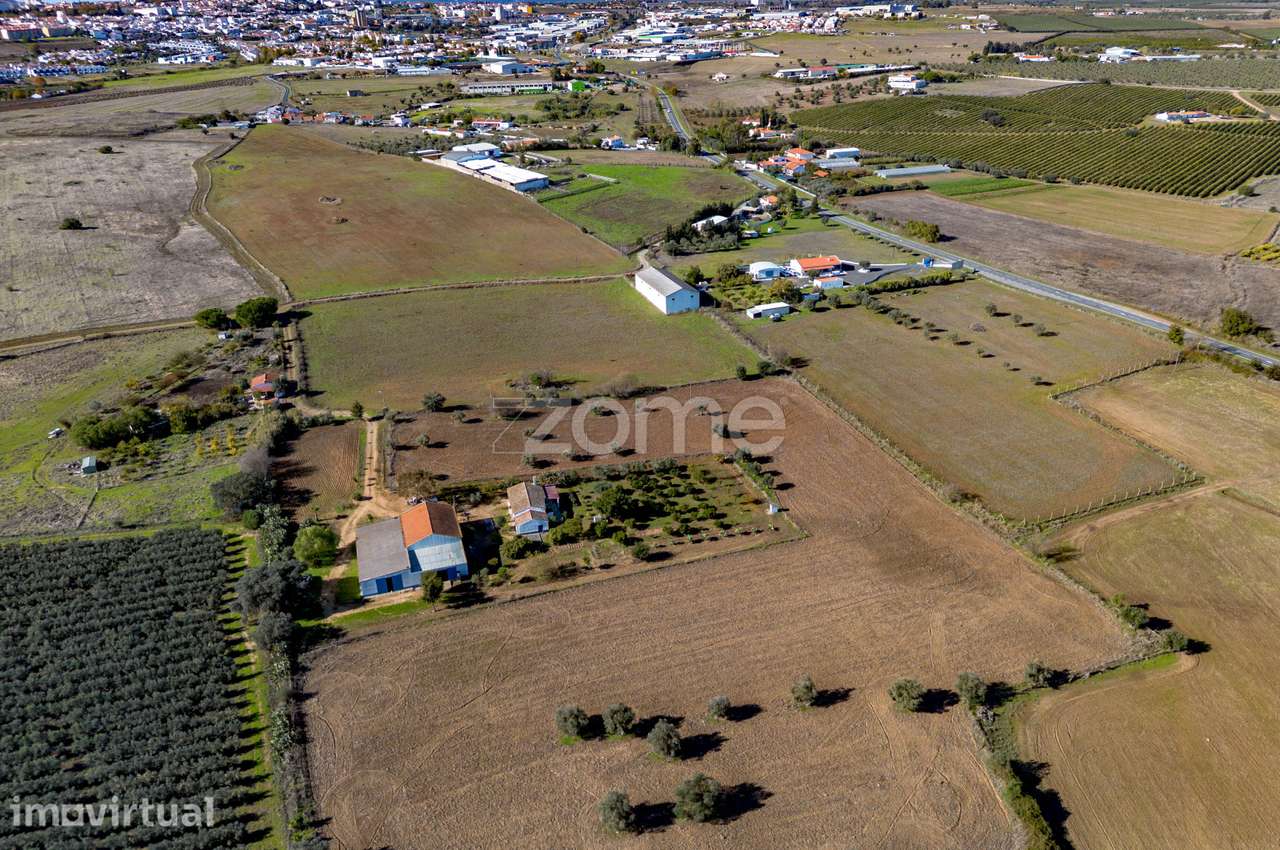 Monte do Ribeiro dos Frades com 2,5Ha - às portas da cidade - Grande imagem: 4/40