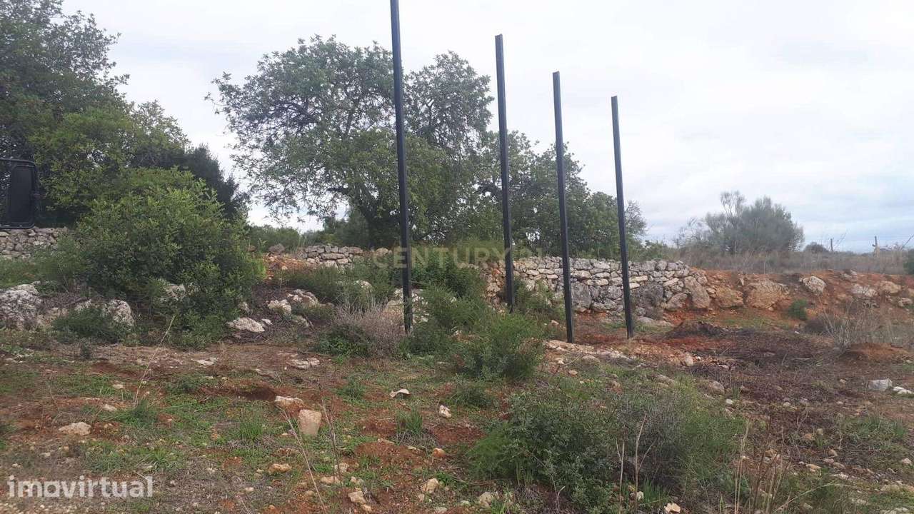 NÃO PERCA ESTA GRANDE OPORTUNIDADE! TERRENO RÚSTICO COM 1000 M2 COM EL - Grande imagem: 2/5