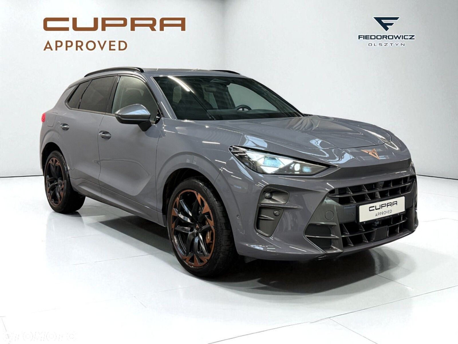 Cupra Terramar 2.0 TSI 4Drive VZ DSG - 12