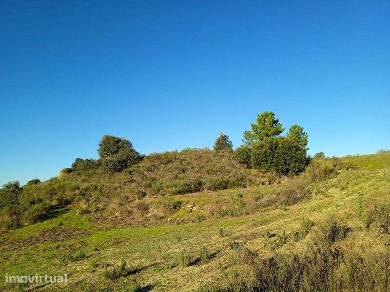 Terreno 6 hectares com barracão 50 metros quadrados - Grande imagem: 4/8