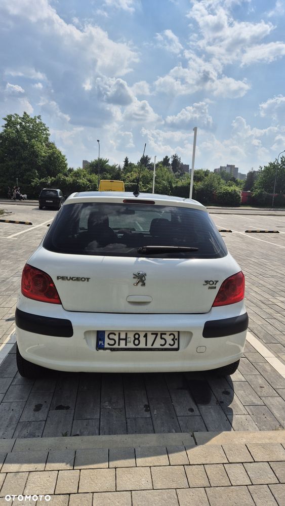 Peugeot 307 - 5