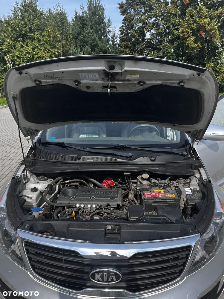 Kia Sportage - 14