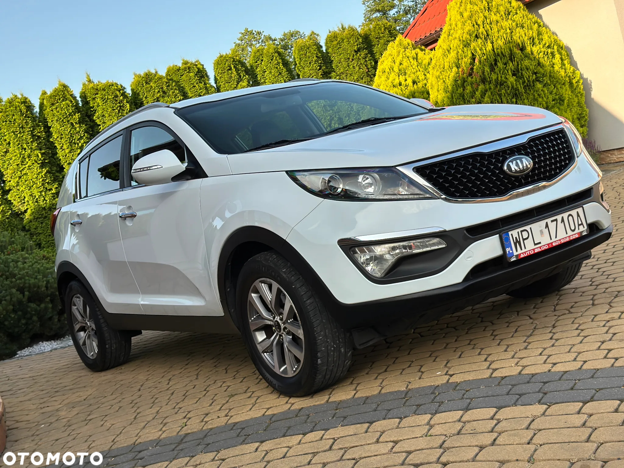 Kia Sportage 1.6 GDI XL 2WD - 38
