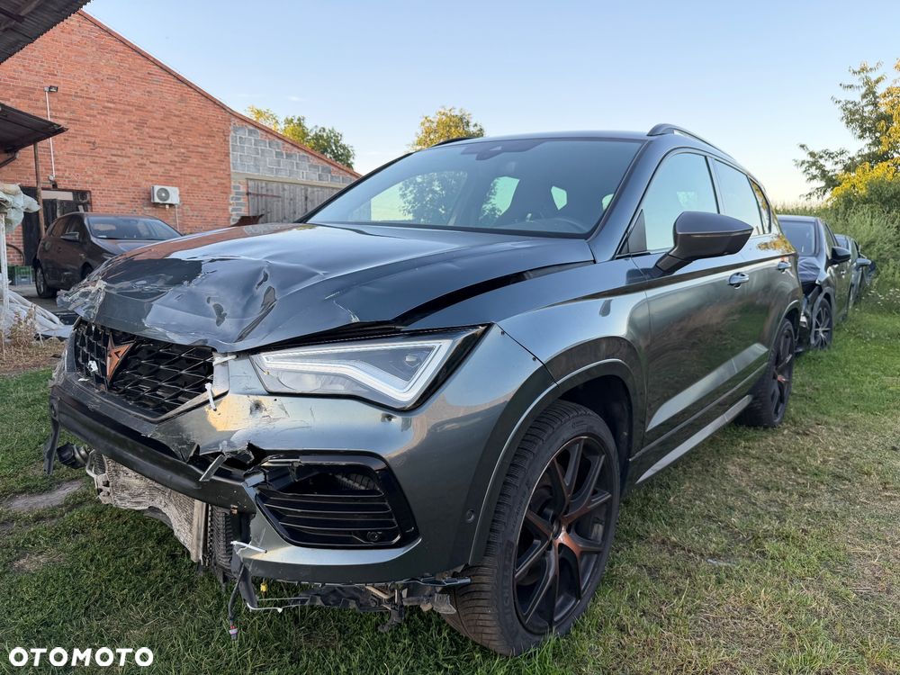 Cupra Ateca 2.0 TSI 4Drive DSG - 12
