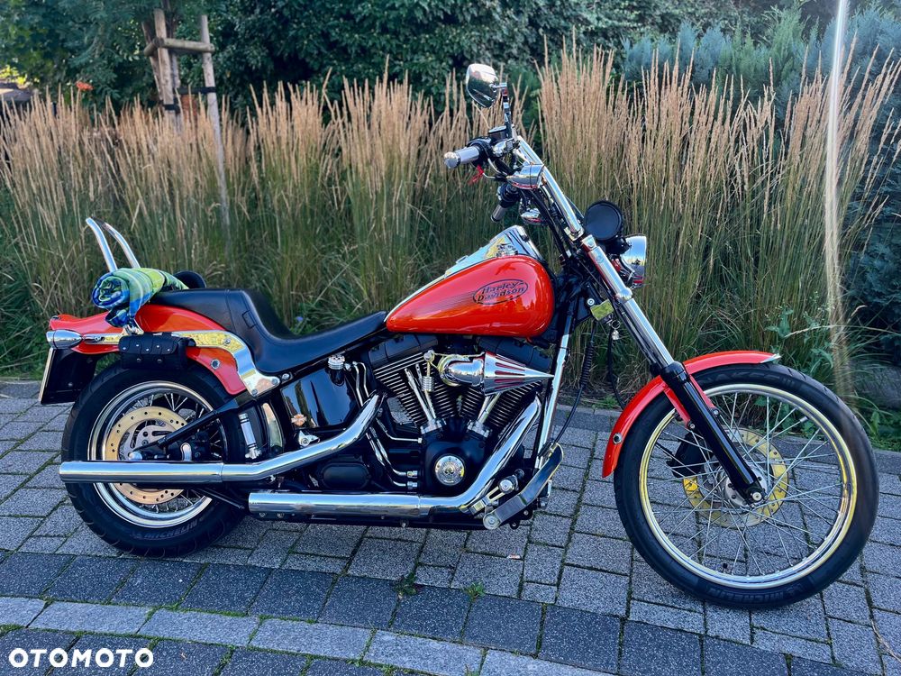 Harley-Davidson Softail Standard - 2