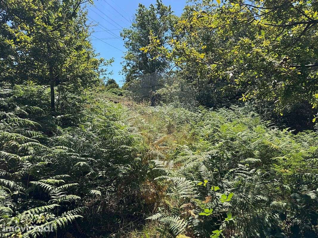 Terreno  para venda - Grande imagem: 4/4