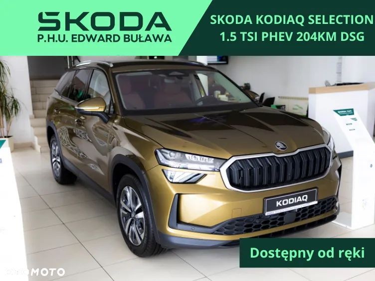 Skoda Kodiaq - 1