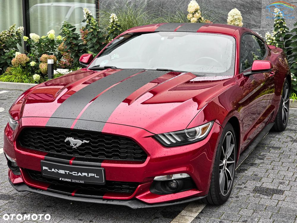 Ford Mustang 2.3 EcoBoost - 11