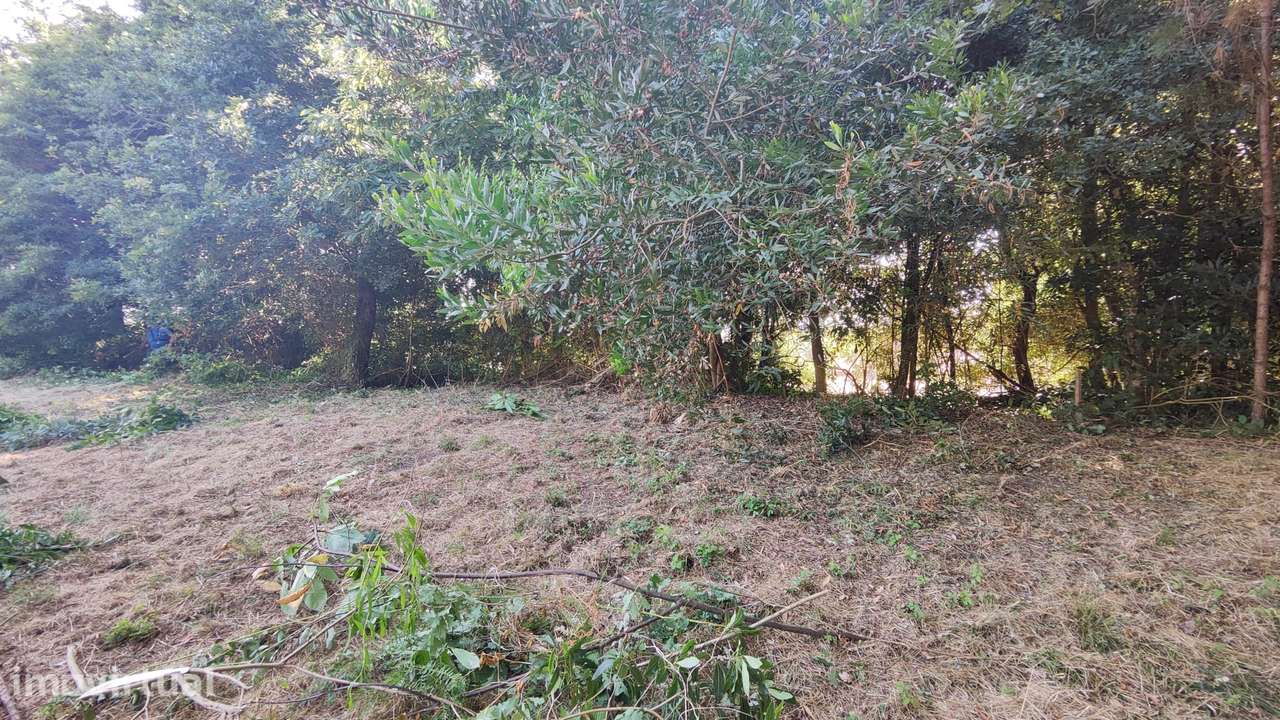 Para construção, retangular, plano, vistas mar. - Grande imagem: 3/3