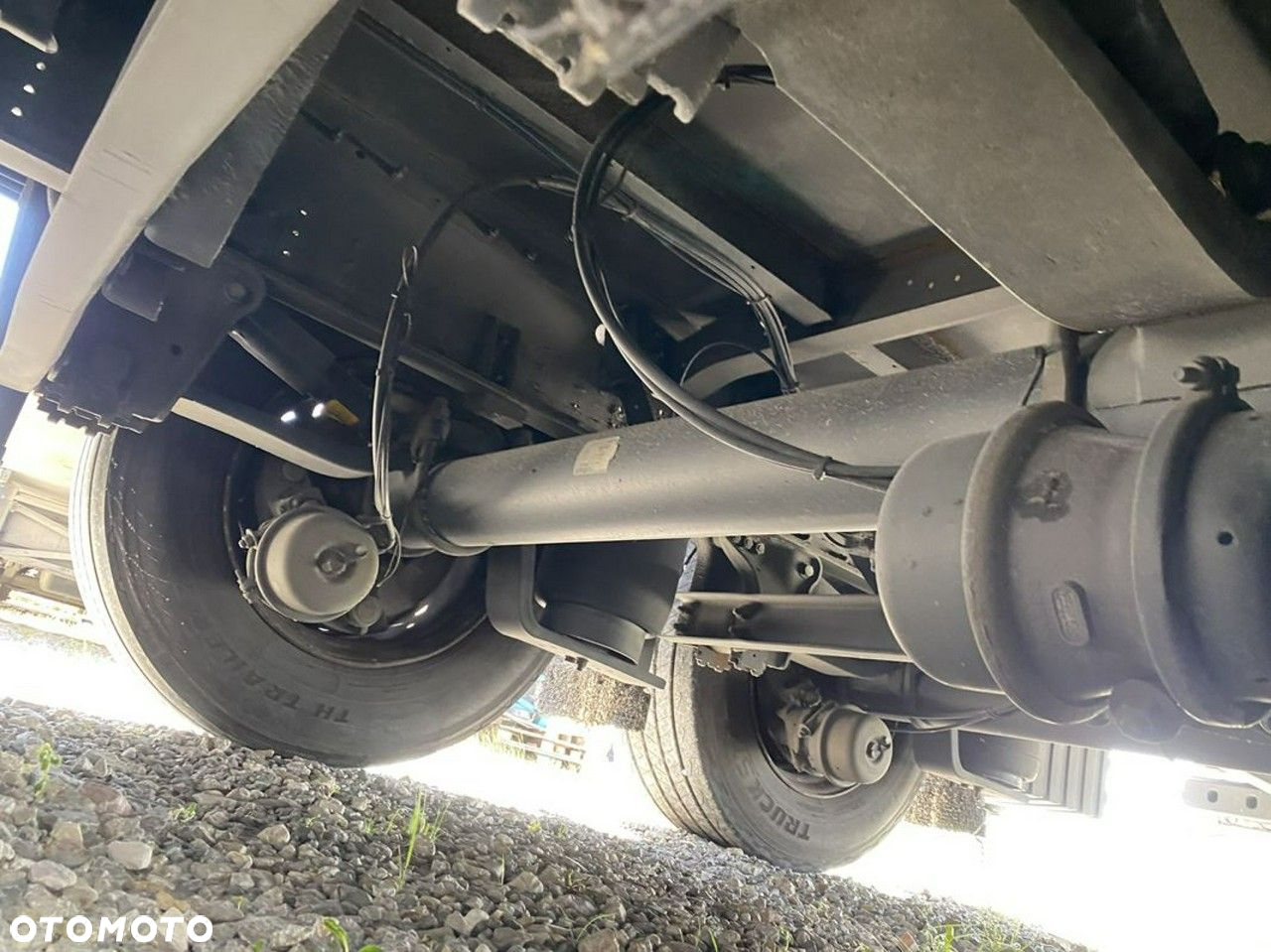 Schmidt - 26