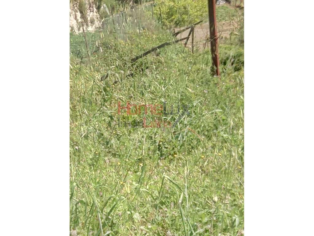 Terreno para Venda - Grande imagem: 4/8