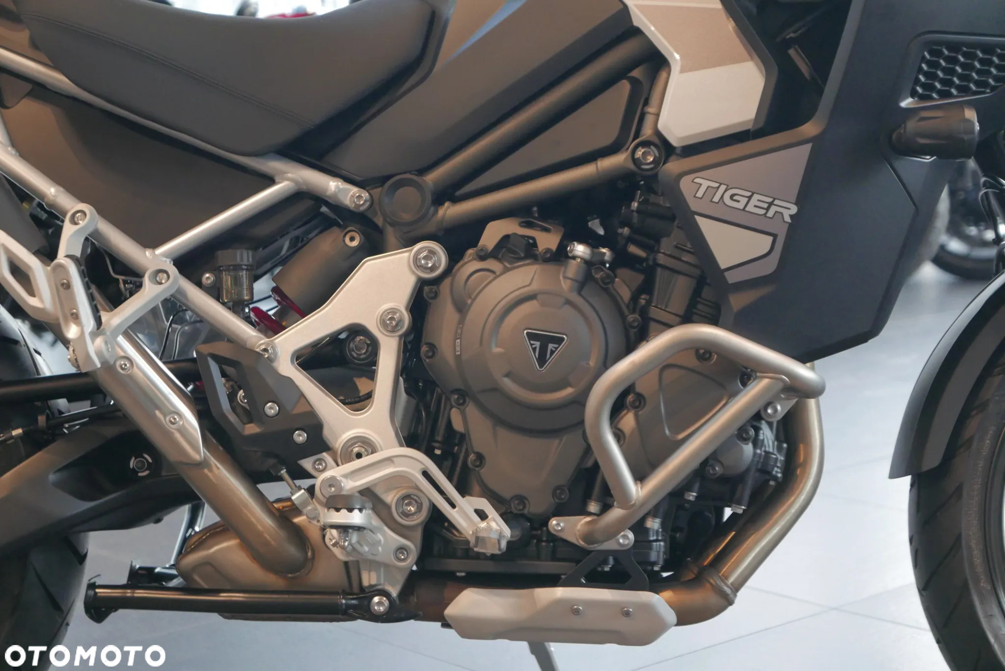 Triumph Tiger - 14