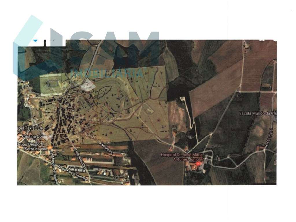 Terreno Agrícola com Vinha Produtiva - Serra da Vila, Torres Vedras - Grande imagem: 5/6