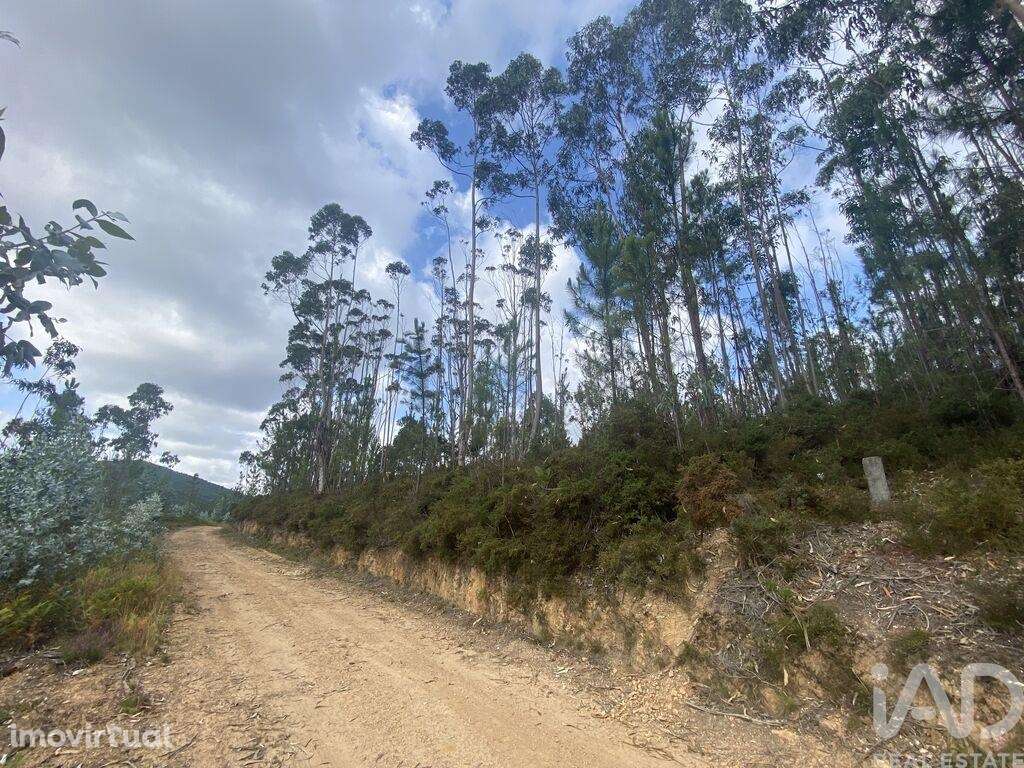 Terreno para construção em Sopo de 5000,00 m2 - Grande imagem: 4/23