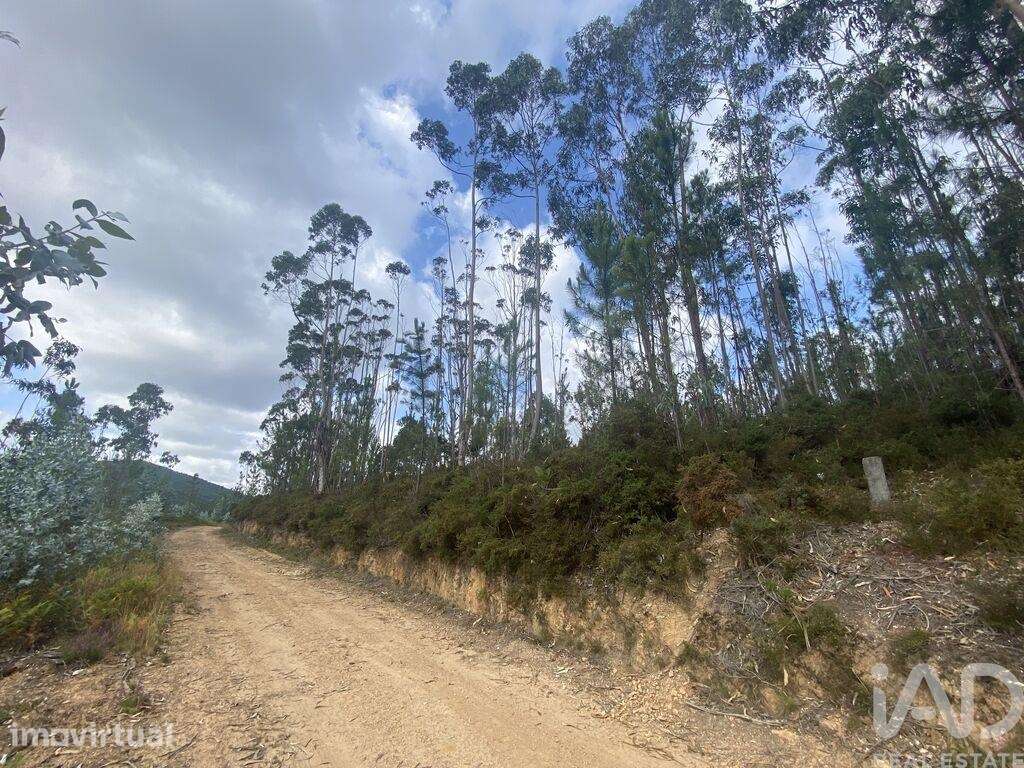 Terreno para construção em Sopo de 5000,00 m2 - Grande imagem: 4/23