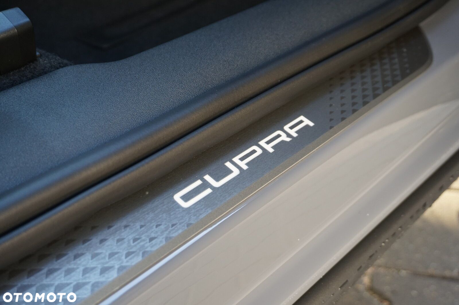 Cupra Terramar - 23
